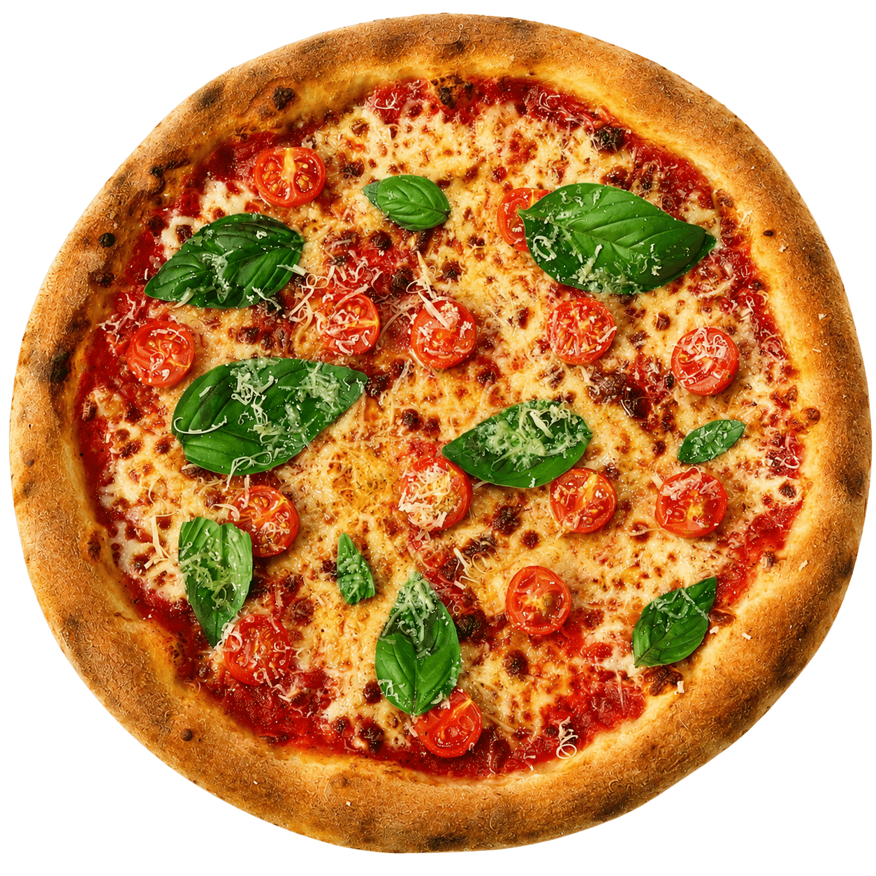 Margherita Classica pizza with fresh basil and mozzarella