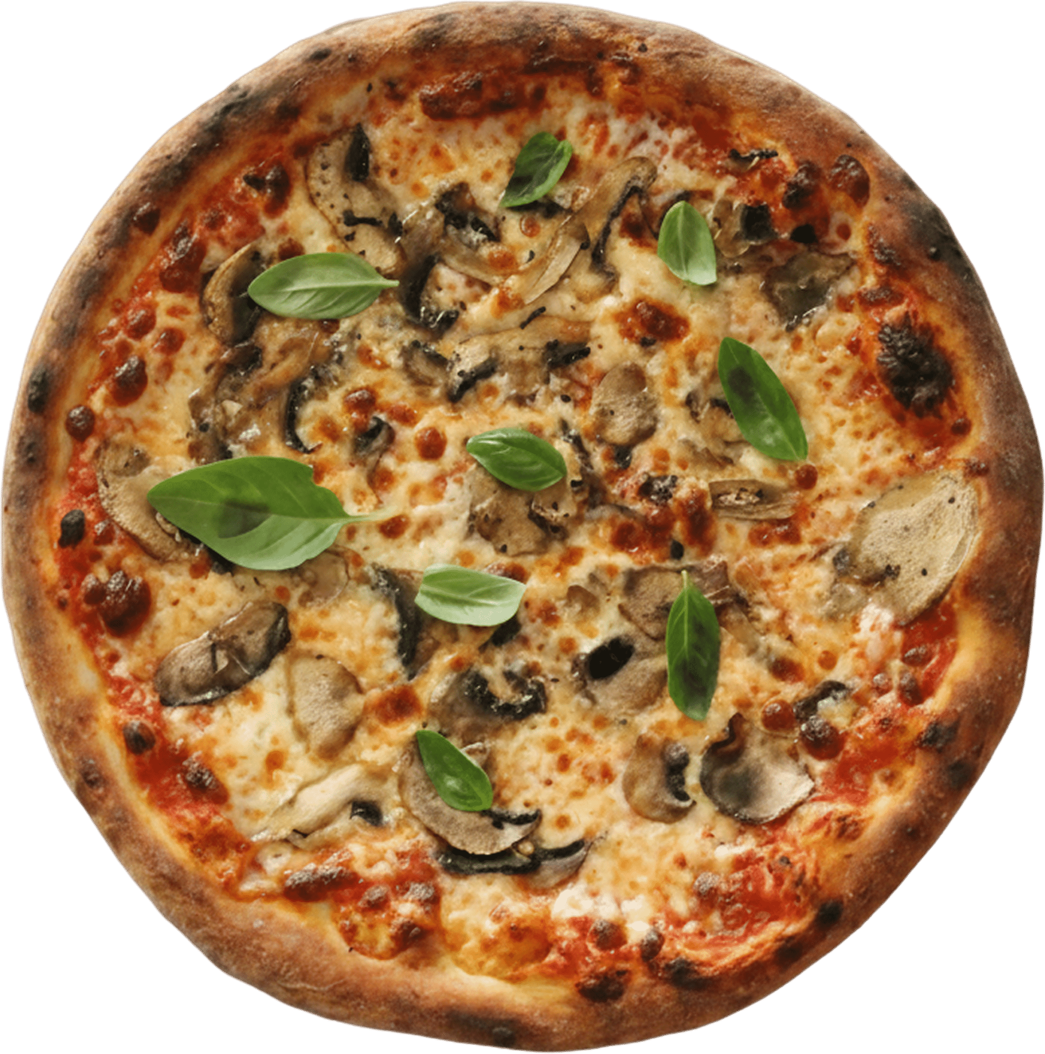 Tartufo 1