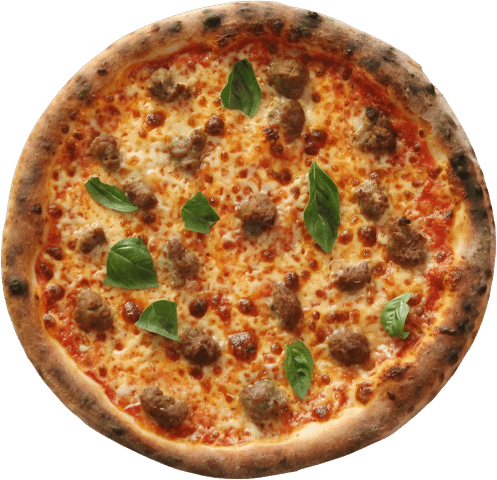 meatball 1